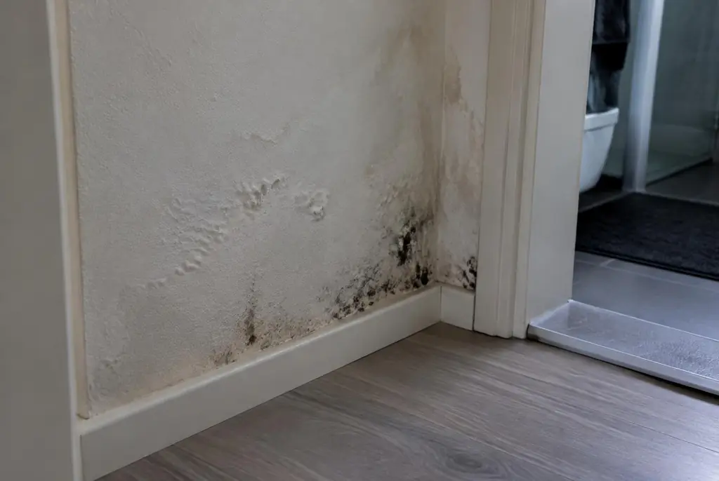 Lekdetectie Hoorn – vochtplek met schimmel op een muur
